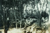 登錄號:KH2015.004.0336藏品圖，第1張