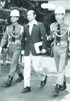 登錄號:KH2015.005.0100藏品圖，第1張