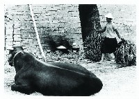 登錄號:KH2015.005.0174藏品圖，第1張