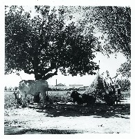 登錄號:KH2015.005.0178藏品圖，第1張