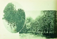 登錄號:KH2015.005.0229藏品圖，第1張