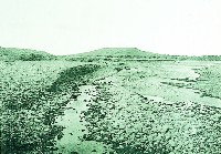 登錄號:KH2015.005.0230藏品圖，第1張