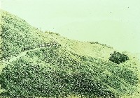 登錄號:KH2015.005.0314 之藏品的圖片