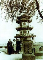 登錄號:KH2015.005.0343藏品圖，第1張