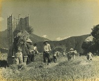 登錄號:KH2015.005.0394藏品圖，第1張