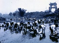 登錄號:KH2015.005.0409 之藏品的圖片