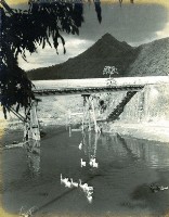 登錄號:KH2015.005.0430藏品圖，第1張