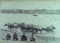 登錄號:KH2015.005.0477藏品圖，第1張