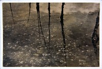 登錄號:KH2015.005.0614藏品圖，第1張