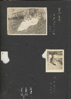 高雄縣美濃鎮吉洋國民小學相本一本（相本A）藏品圖，第20張