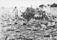 過河藏品圖，第1張