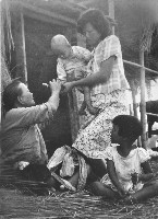 鄉間生活-3的圖片