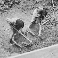 鄉間生活-7藏品圖，第1張