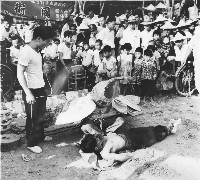 國術表演藏品圖，第1張