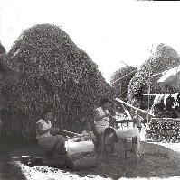 補漁網線工作藏品圖，第1張