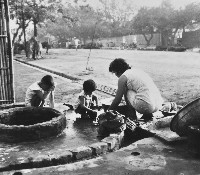 古井邊洗衣藏品圖，第1張