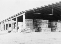 三夾板專用倉庫藏品圖，第1張