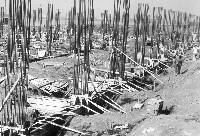 香蕉冷氣庫基礎地中梁施工情形藏品圖，第1張