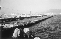 新建中四十二號碼頭施工情形藏品圖，第1張