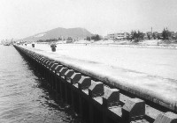 新建完成之三十三號深水碼頭藏品圖，第1張