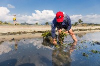 登錄號:KH2017.016.0007藏品圖，第1張