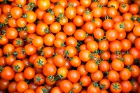 登錄號:KH2017.016.0011藏品圖，第1張