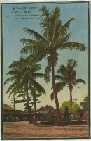 登錄號:KH2017.019.0014藏品圖，第1張