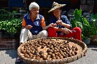 登錄號:KH2017.021.0027藏品圖，第1張