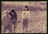 萬應公廟前的菜園-2藏品圖，第1張