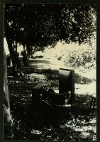 大林蒲-2藏品圖，第1張