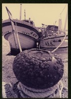 紅毛港-3藏品圖，第1張