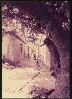 鹽埕頭巷弄-3藏品圖，第1張