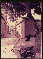 鹽埕頭巷弄-4藏品圖，第1張