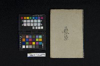 《摘要西洋史地圖》藏品圖，第2張