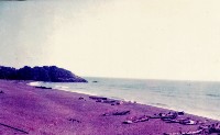 鳳鼻頭海岸藏品圖，第1張