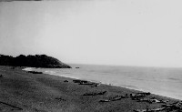 鳳鼻頭海岸藏品圖，第2張
