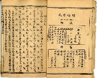 《國民適用 文明 自由新尺牘》藏品圖，第13張