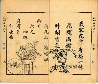 《初學必需 漢文讀本 第二冊》藏品圖，第8張