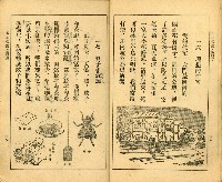 《初級小學適用 常識 第四冊》藏品圖，第13張