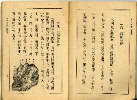 《初級小學適用 常識 第四冊》藏品圖，第14張