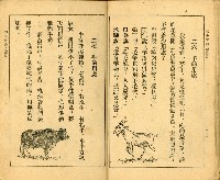 《初級小學適用 常識 第四冊》藏品圖，第18張