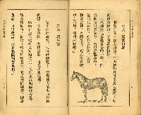 《初級小學適用 常識 第四冊》藏品圖，第19張