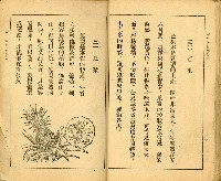 《初級小學適用 常識 第四冊》藏品圖，第20張