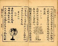 《初學必需 漢文讀本 第五冊》藏品圖，第10張