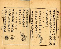 《初學必需 漢文讀本 第五冊》藏品圖，第15張