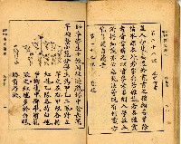《初學必需 漢文讀本 第五冊》藏品圖，第19張