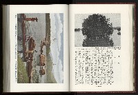 《日本地理風俗大系-  第十五卷 臺灣篇》藏品圖，第39張