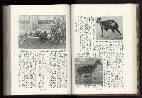 《日本地理風俗大系-  第十五卷 臺灣篇》藏品圖，第44張