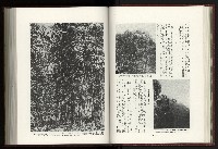 《日本地理風俗大系-  第十五卷 臺灣篇》藏品圖，第50張