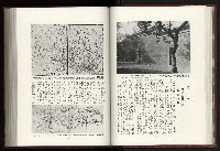 《日本地理風俗大系-  第十五卷 臺灣篇》藏品圖，第54張